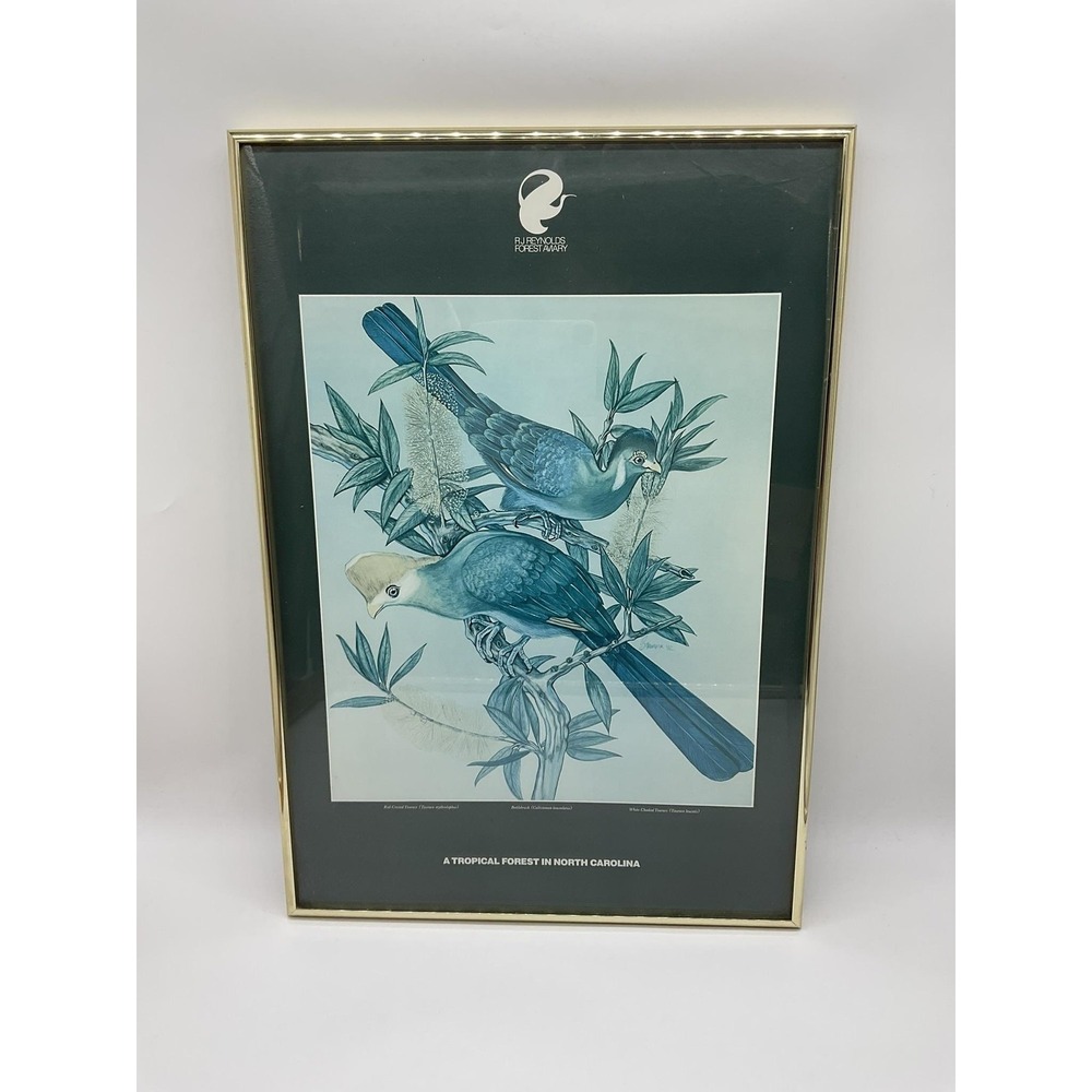 Vintage RJ Reynolds Forest Aviary Tropical Birds Framed Art Print 24x16 Wall Art